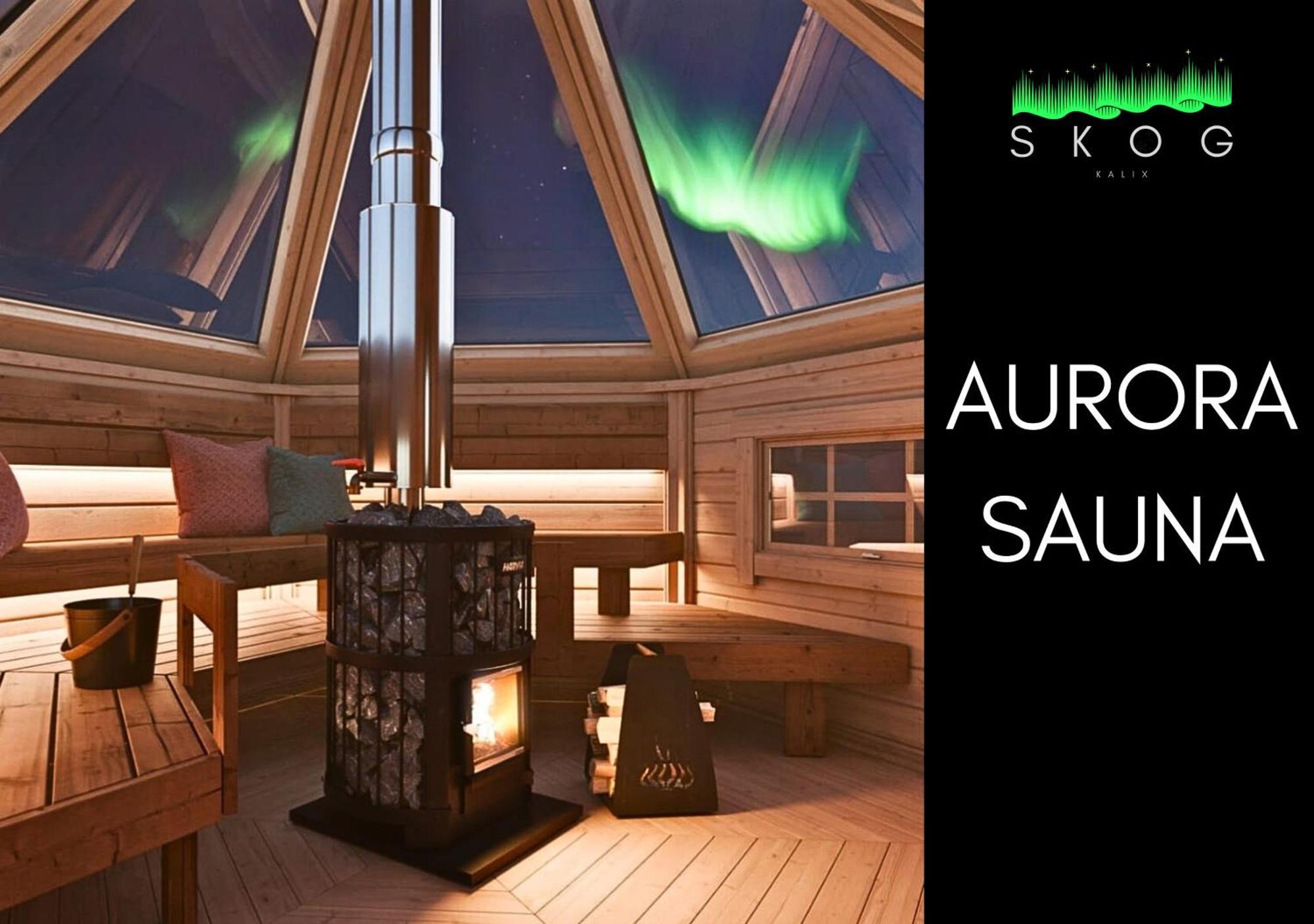 Skog Aurora Igloos Villa Kalix Ngoại thất bức ảnh