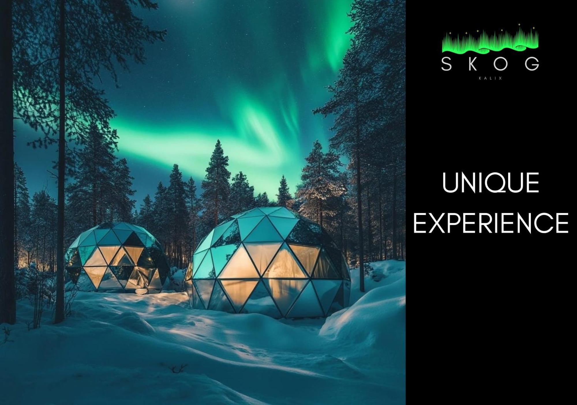 Skog Aurora Igloos Villa Kalix Ngoại thất bức ảnh