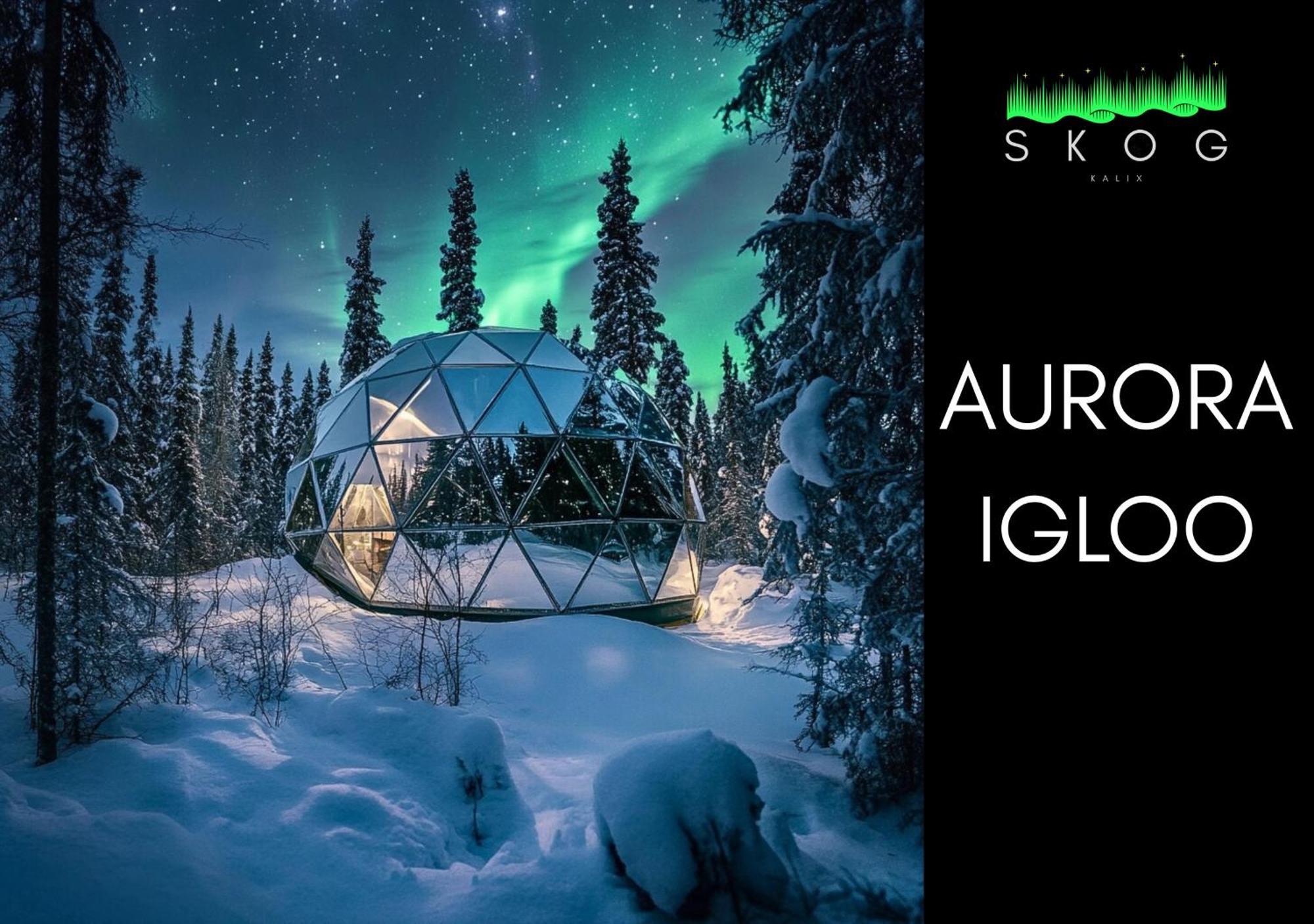 Skog Aurora Igloos Villa Kalix Ngoại thất bức ảnh