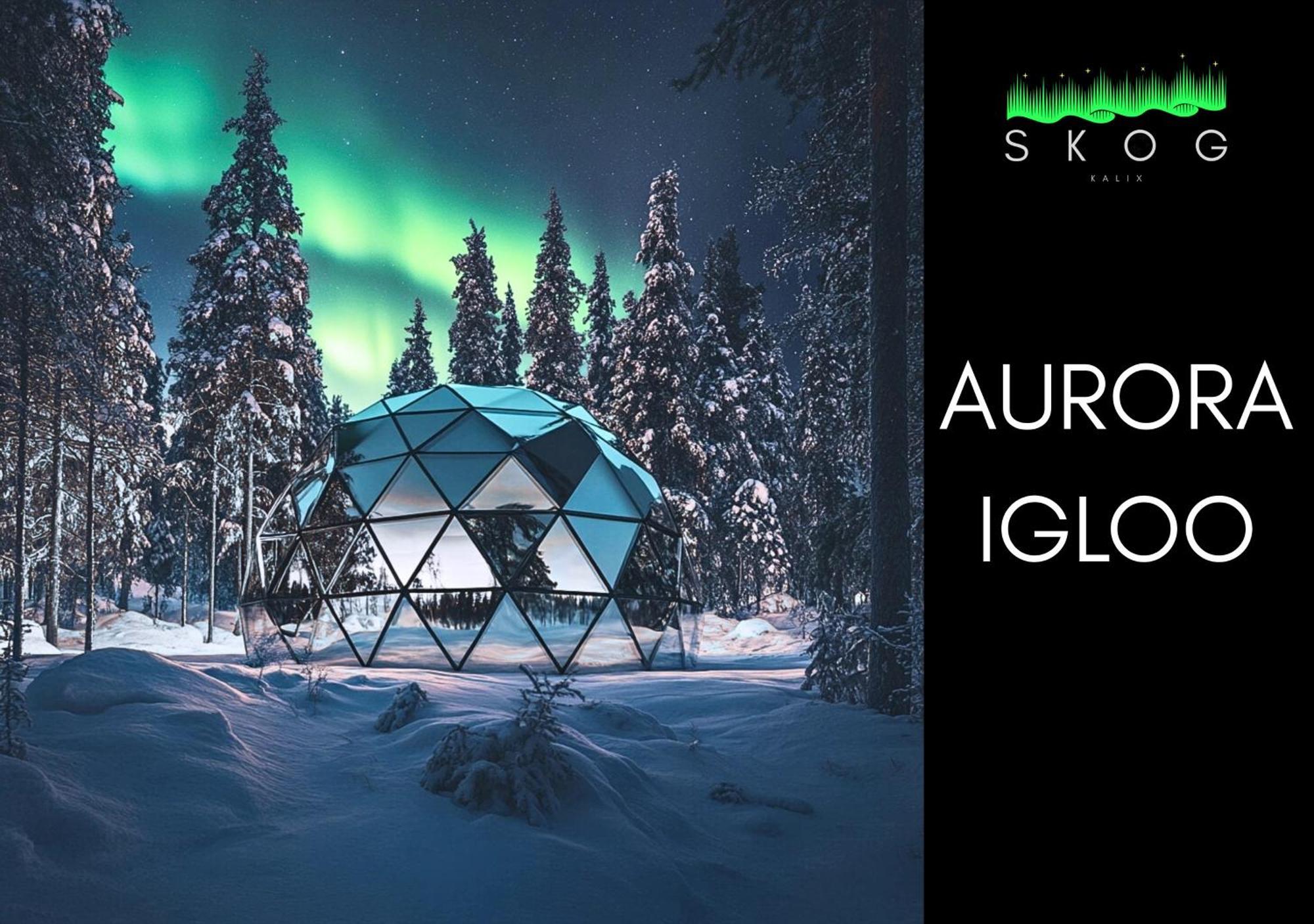 Skog Aurora Igloos Villa Kalix Ngoại thất bức ảnh