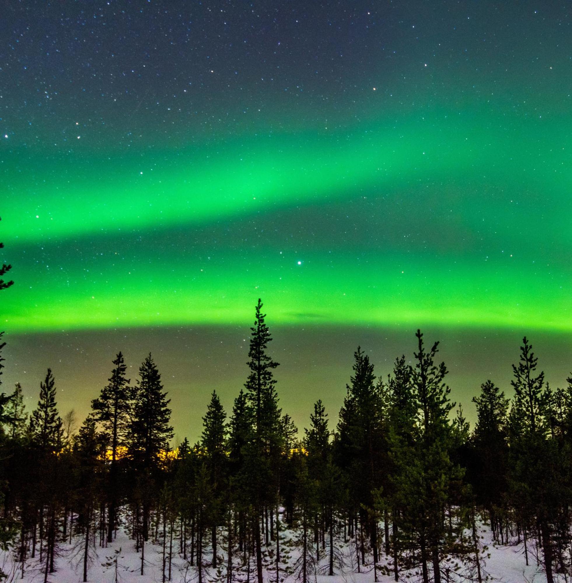 Skog Aurora Igloos Villa Kalix Ngoại thất bức ảnh