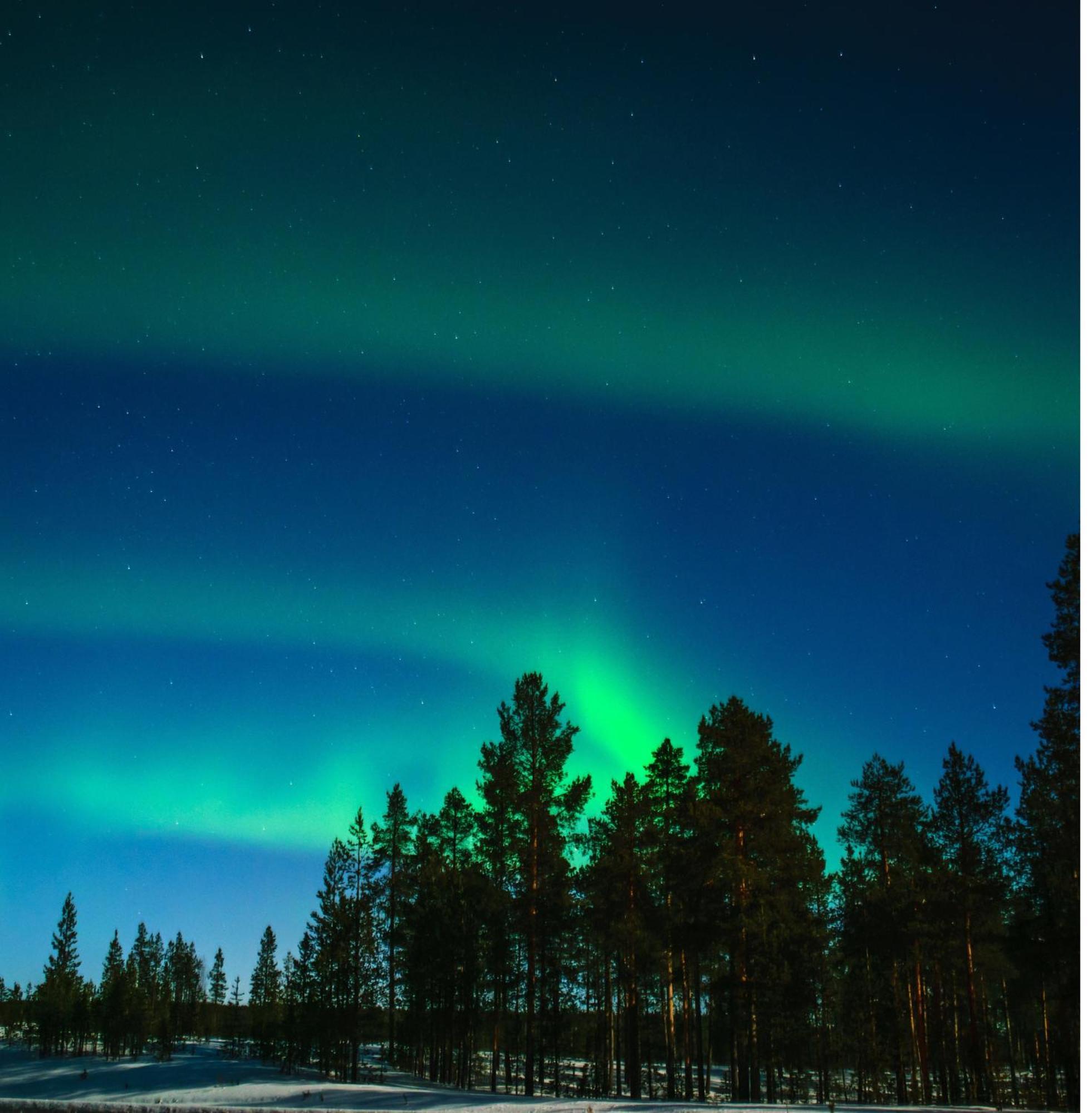 Skog Aurora Igloos Villa Kalix Ngoại thất bức ảnh